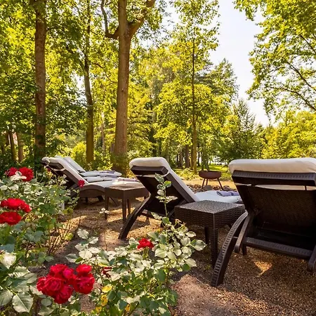 Hotel Victoria Bad Saarow