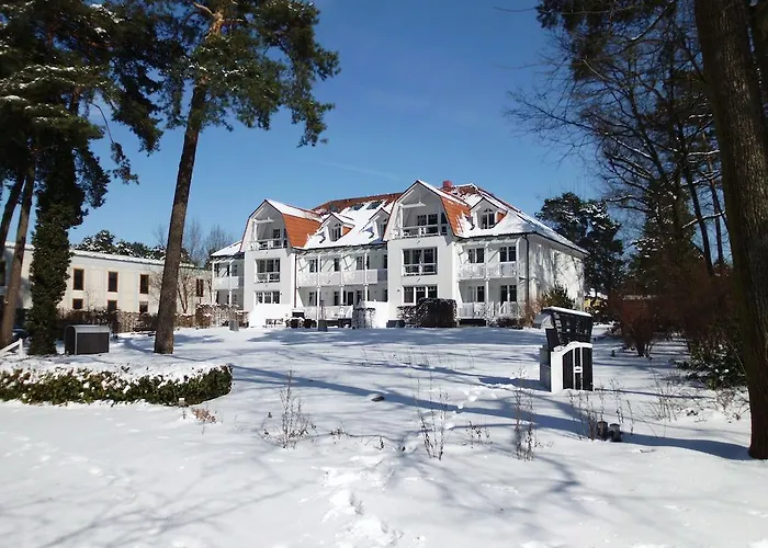 Victoria باد سارو